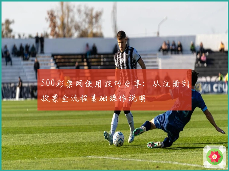 500彩票网使用技巧分享：从注册到投票全流程基础操作说明