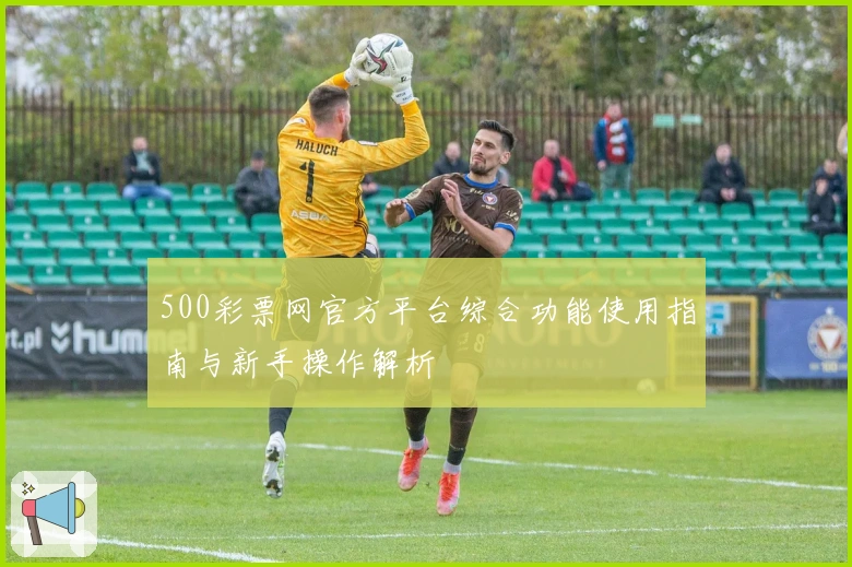500彩票网官方平台综合功能使用指南与新手操作解析